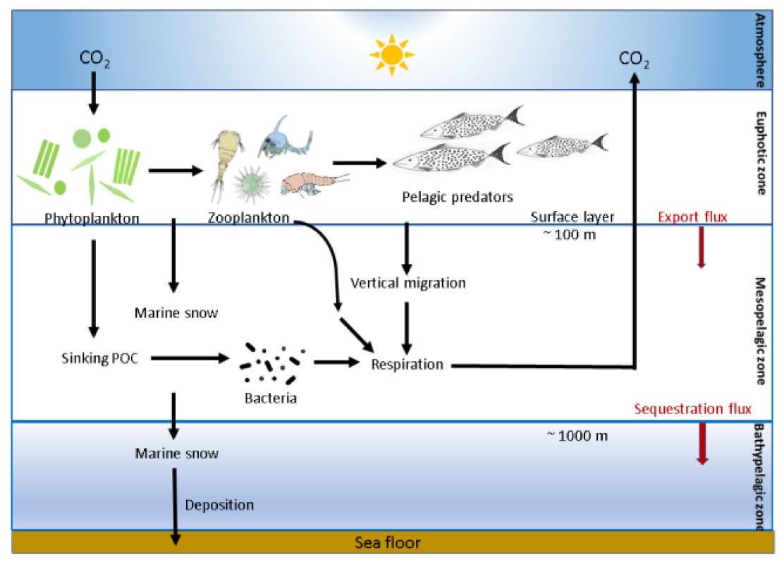 December 2024 - Earth’s Climate System: Complex, But Our Understanding Grows