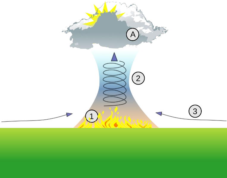 August 2024 - New Vocabulary, Intense Rainfall, Renewables, and Then Norway